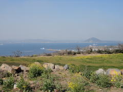 済州道の牛島