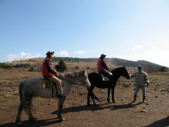 済州で乗馬体験